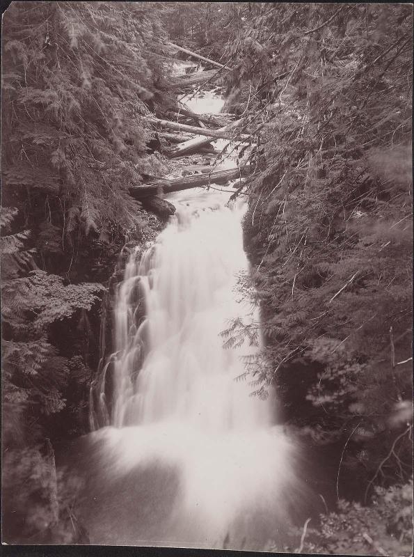 Falls, upper Hood River