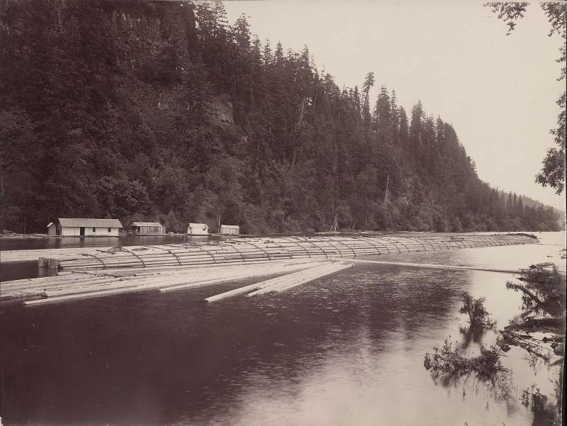 Raft of piles
