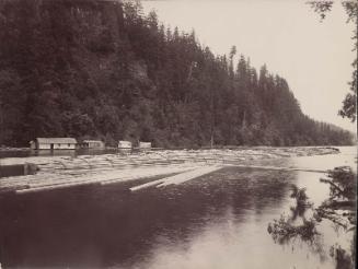 Raft of piles