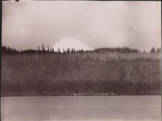 Mount Saint Helens from Rainier Drive