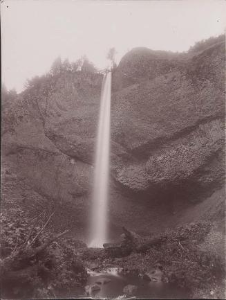 Falls near the Oneata Gorge