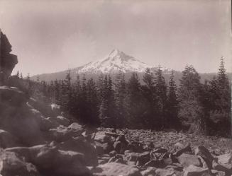 Mount Hood
