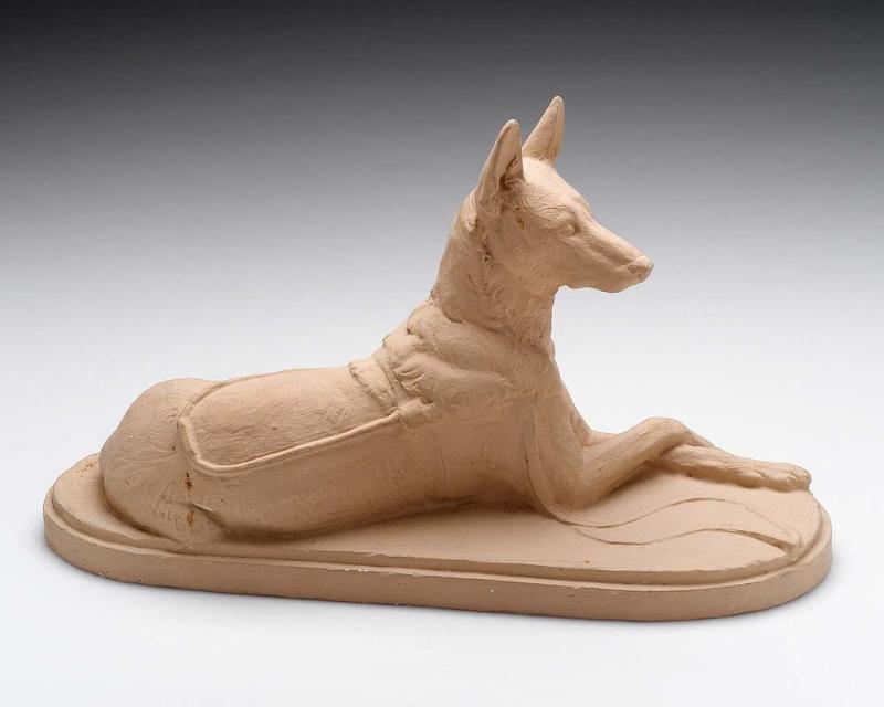 Kara, Seeing Eye Dog