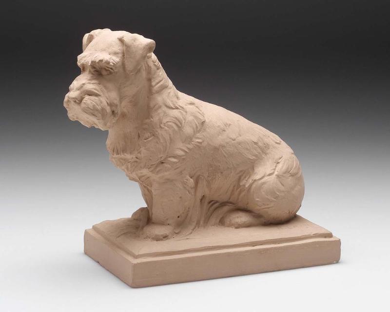 Terrier