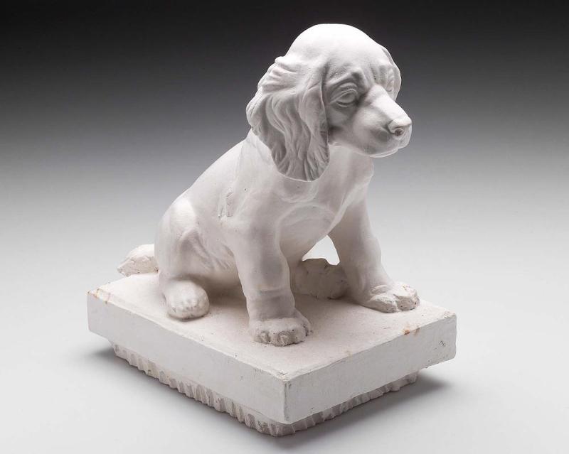 Cocker Spaniel