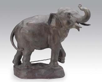 Chained elephant