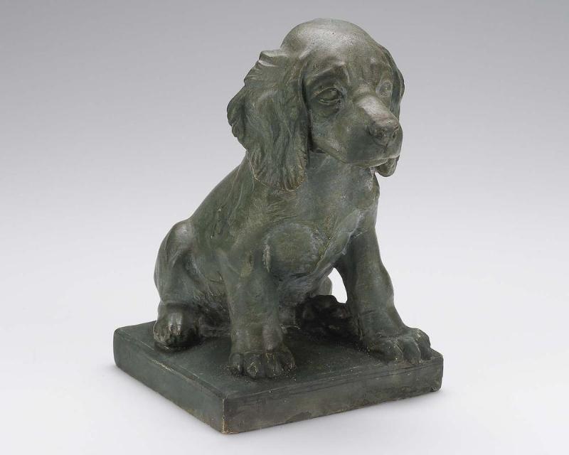 "Cocker Spaniel"