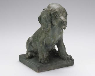 "Cocker Spaniel"