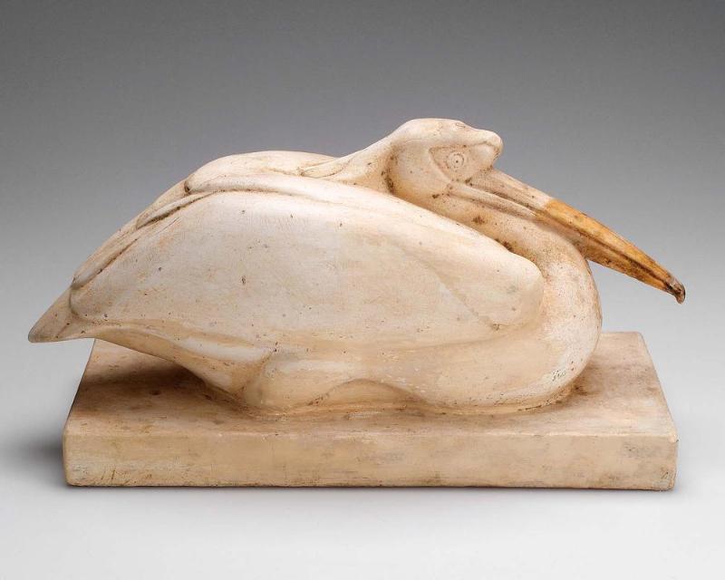 Pelican