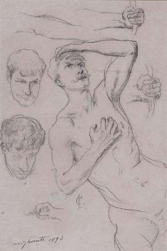 Sheet of Studies with a Nude Man