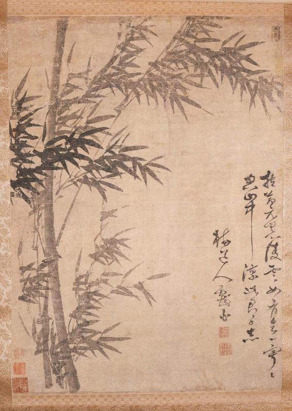 Bamboo