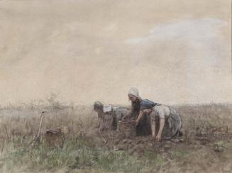 Potato Gatherers