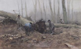 Digging up a Tree