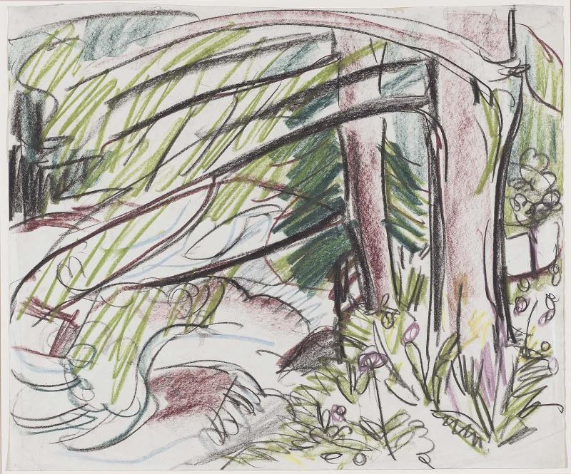 Interior of a Forest