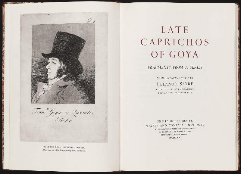 Late Caprichos of Goya: Fragments from a Series