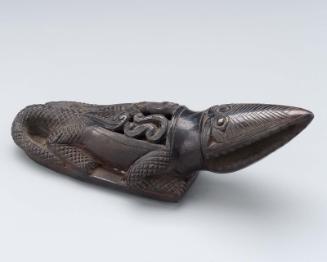 Alligator