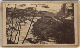 Otanigawa at Nikko