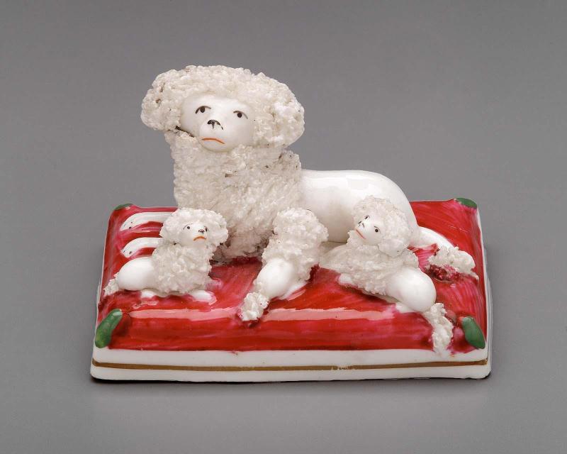Group of poodle and puppies