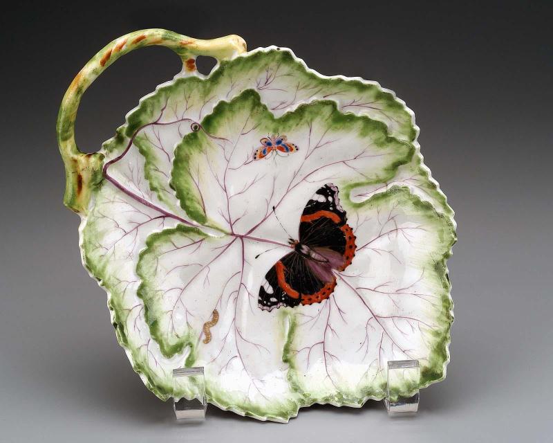 Dish