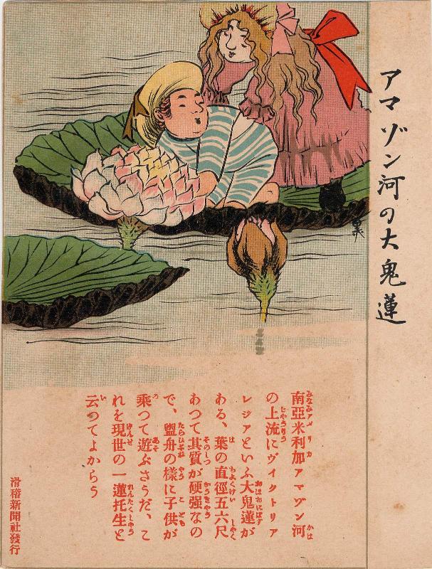 Restricted: For Reference only