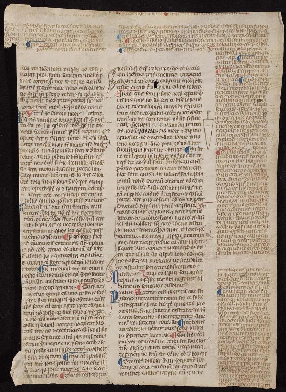 Leaf from the Digest
