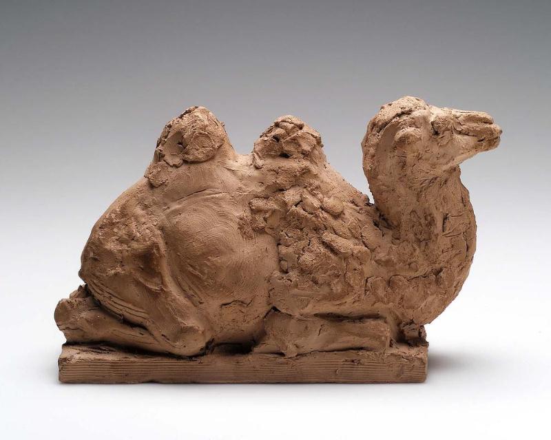 Sitting Camel