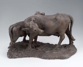 Cow with Calf