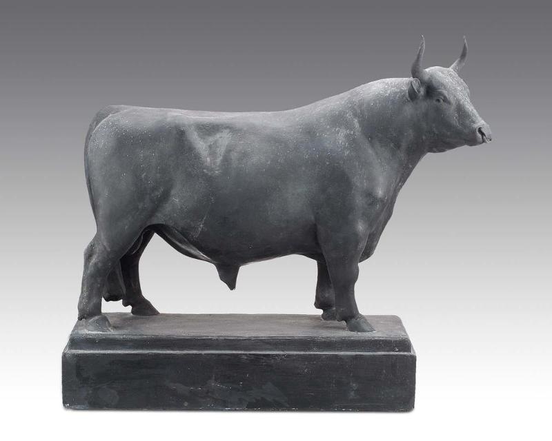 Bull