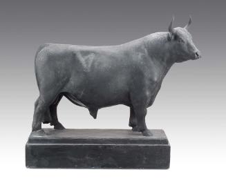 Bull