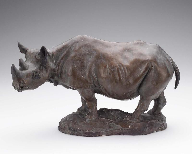 Black African Rhino