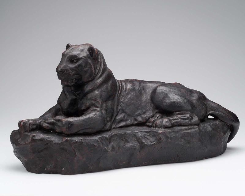 Algerian Panther