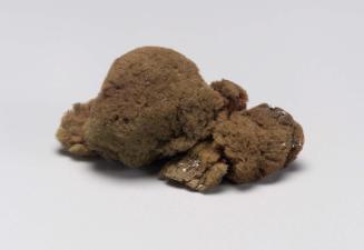 Sponge sent with M. 1605