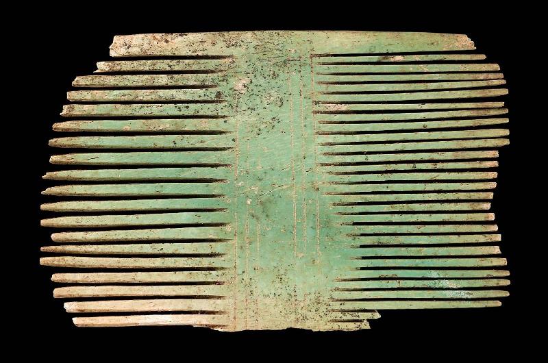 Double comb