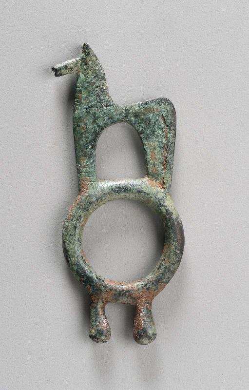 Horse standing on ring