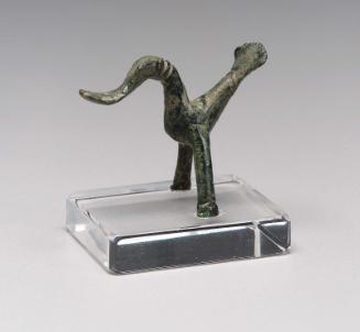 Waterbird