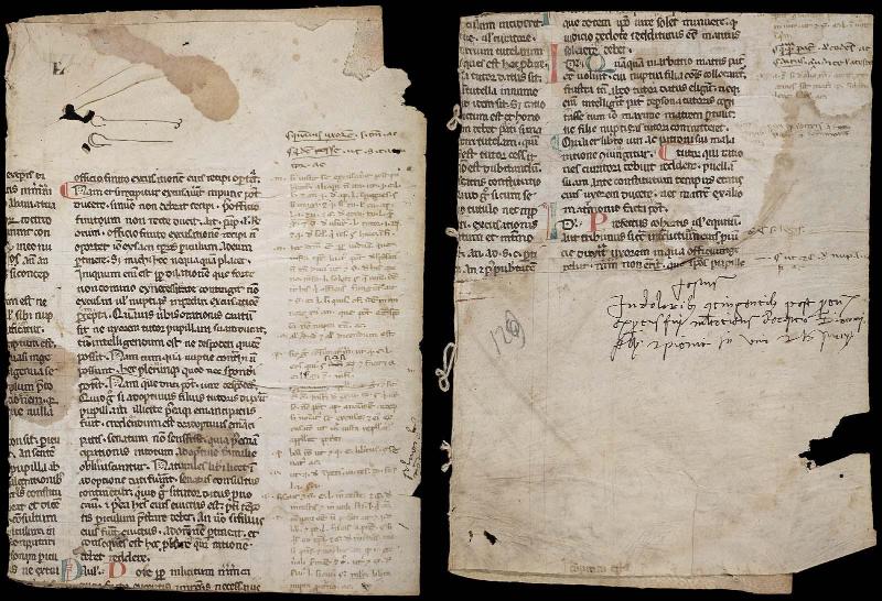 Leaf from the Digest