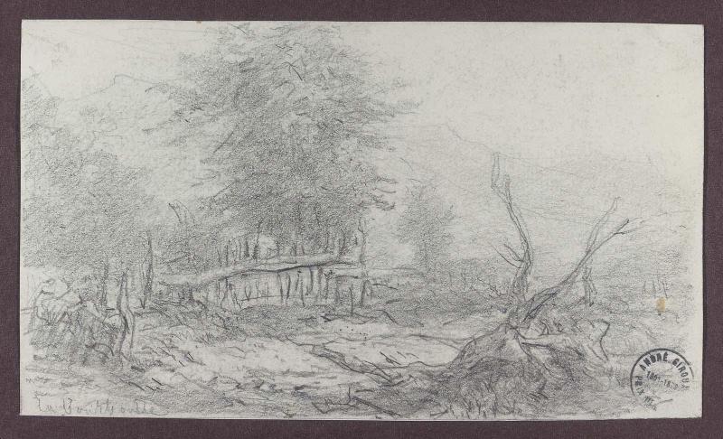 Landscape with rustic fence