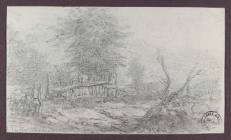 Landscape with rustic fence