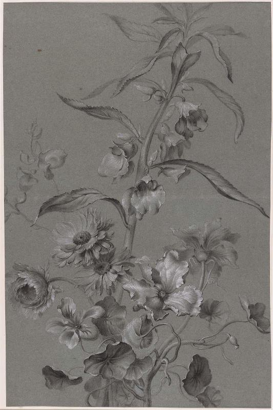 [One of] 4 Flower studies