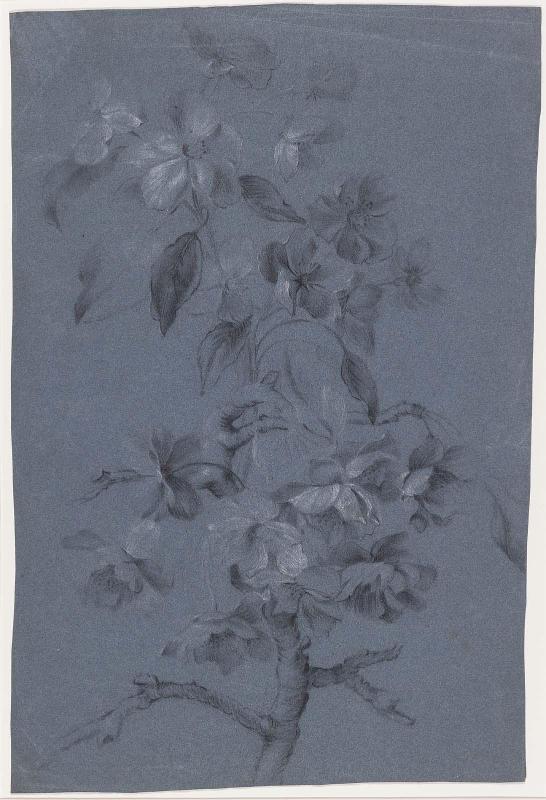 Floral Study