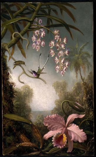 MFA Images: Birds