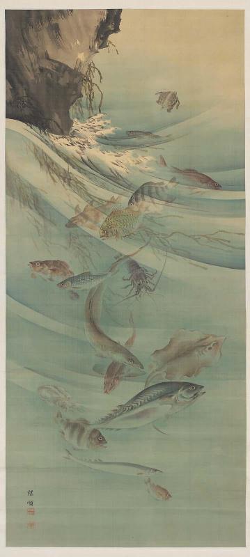 Sea Life