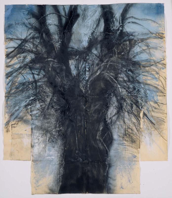Tree (The Kimono)