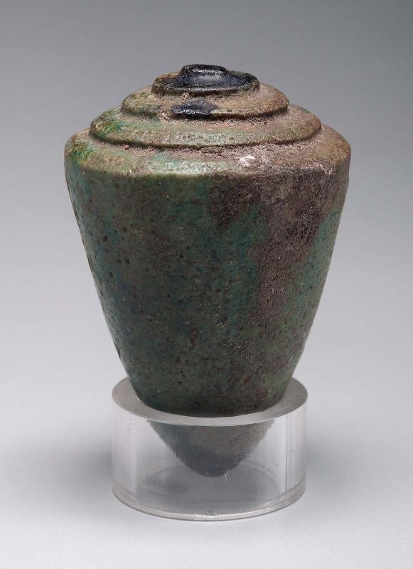 Model of a volute shell