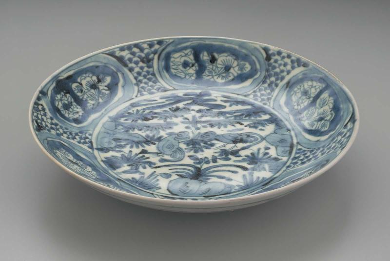 Dish