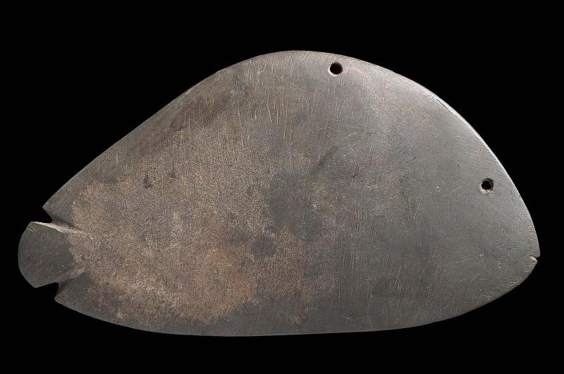Fish-shaped palette