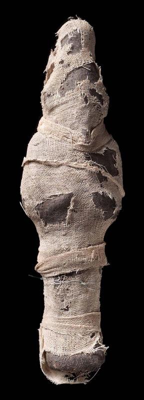 Grain mummy