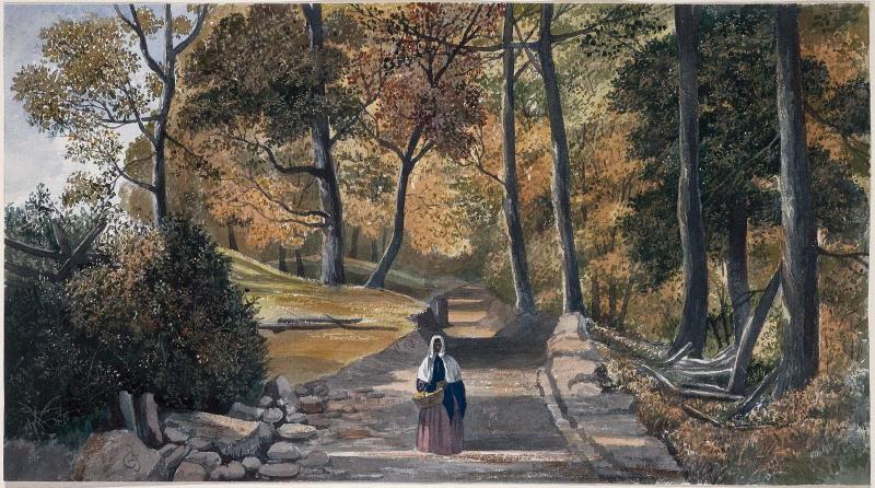 Woodland Road in [West] Virginia