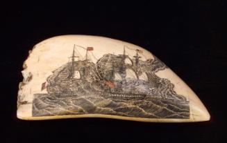 Scrimshawed whale's tooth