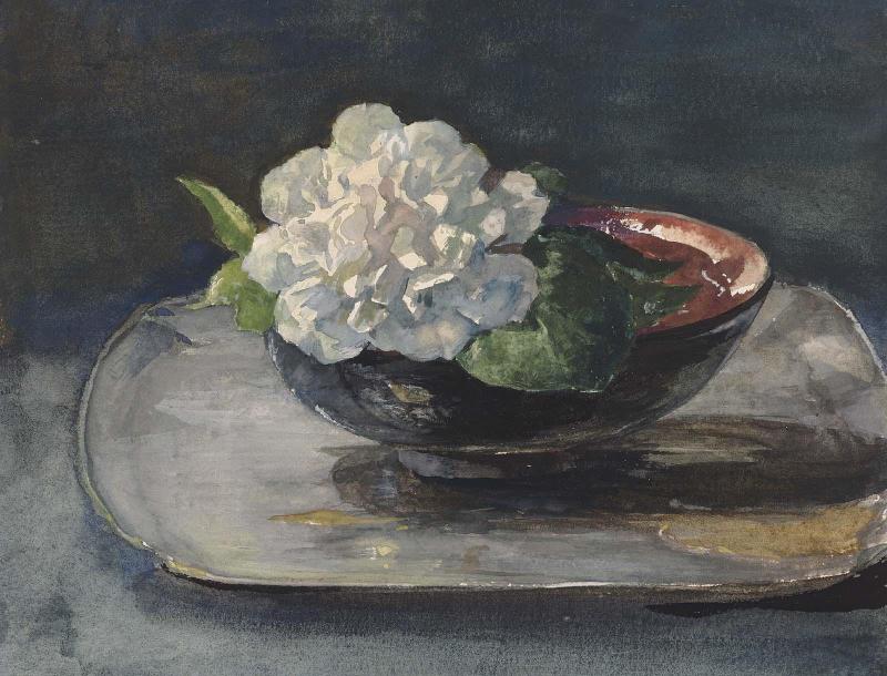 White Camellia in a Red and Black Lacquer Bowl